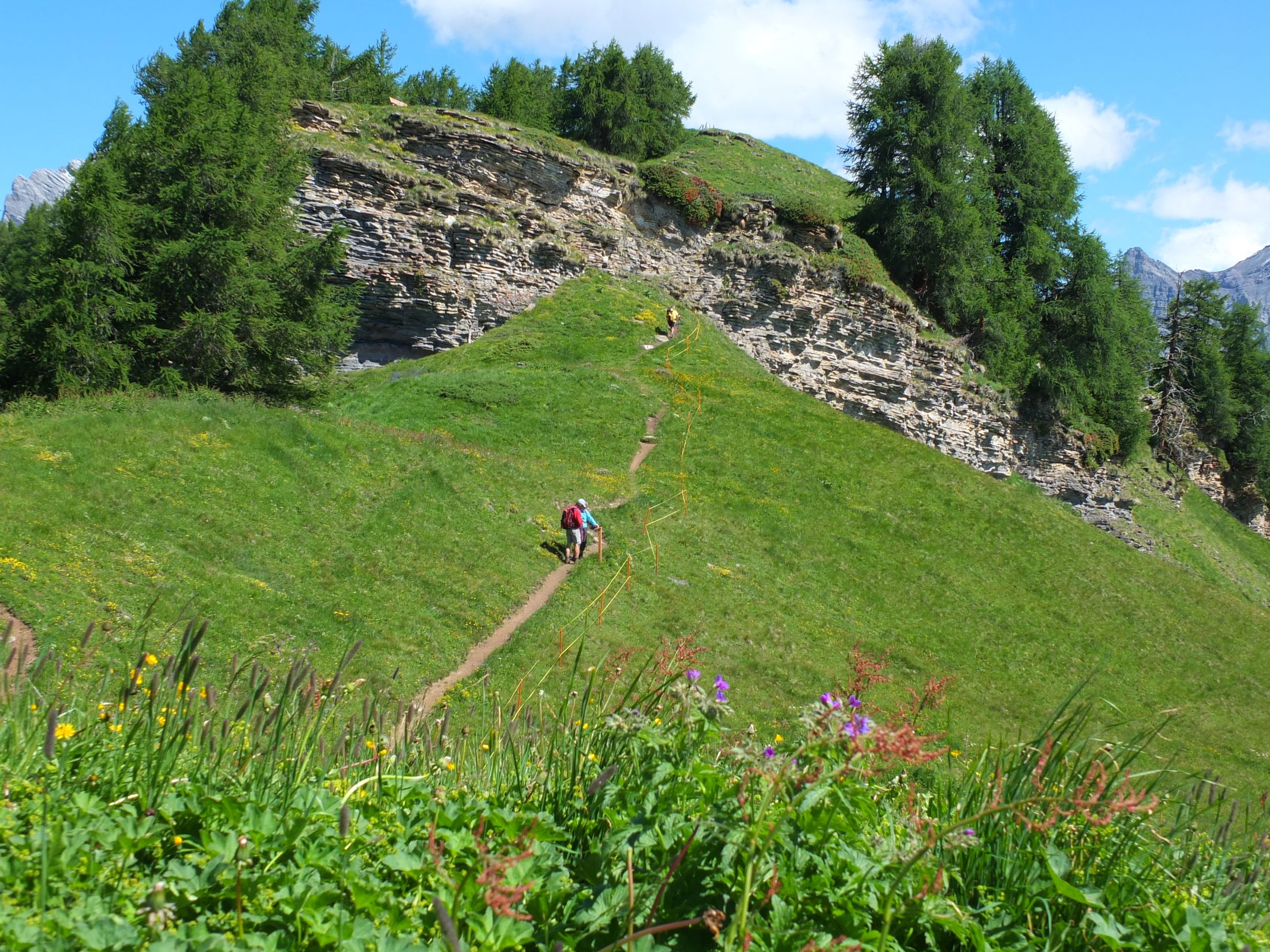 Sentier botanique Mille Fleurs, de Jorasse à Ovronnaz, dans le canton du Valais