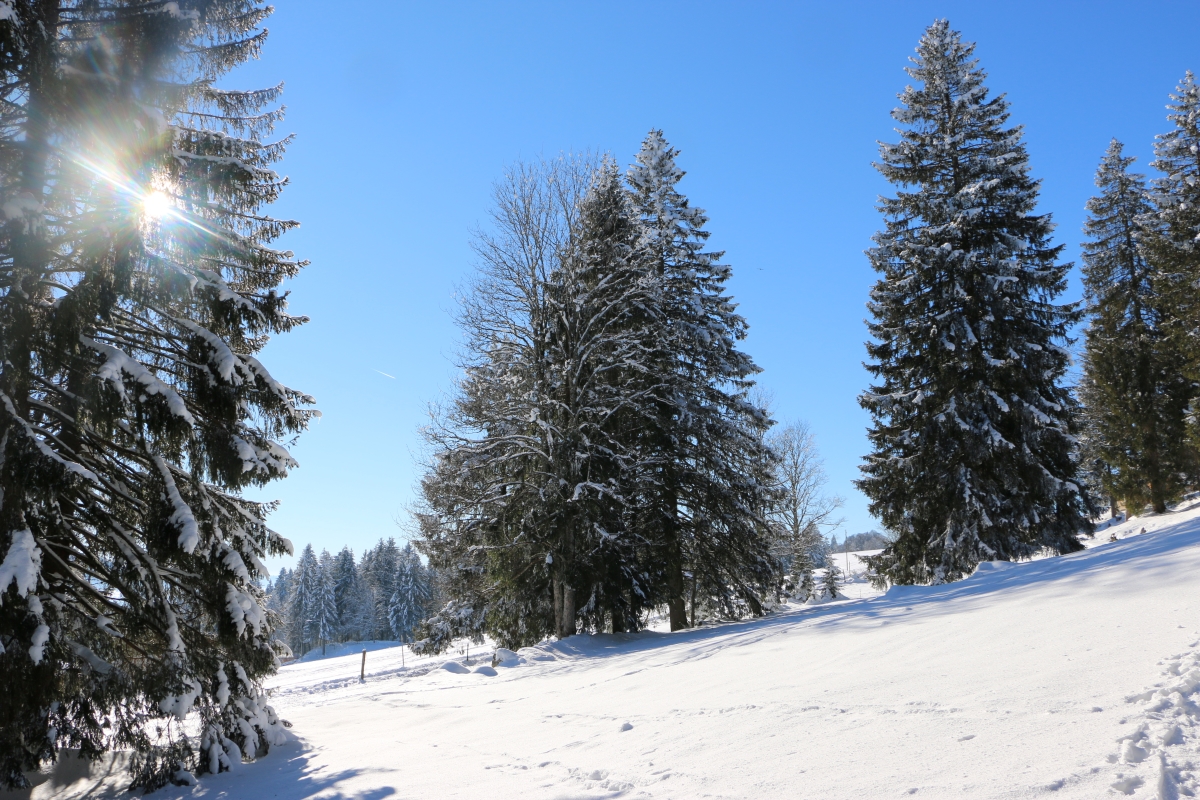 Grand Chasseral en hiver, Jura