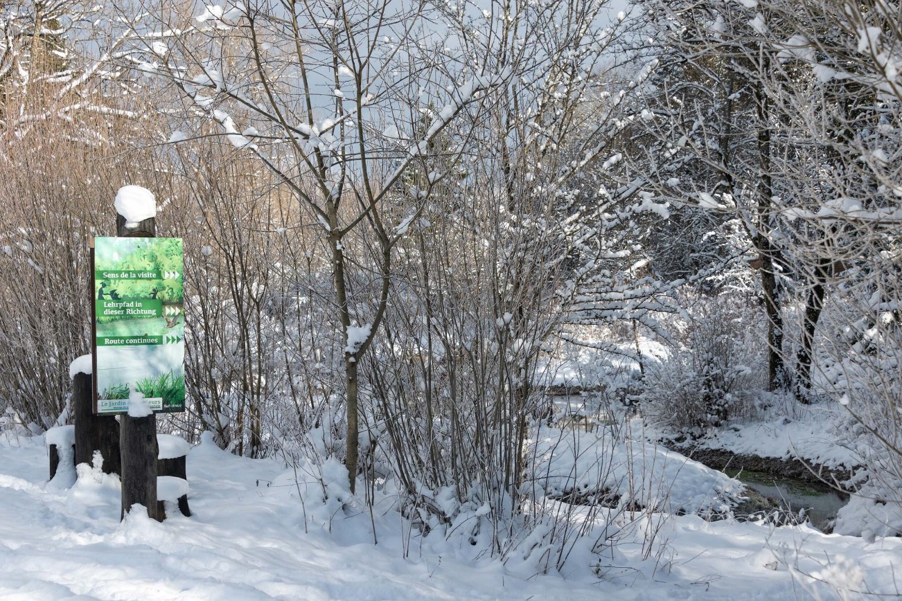 Découvrez le sentier forestier du Jardin des Mineurs sous la neige avant de plonger dans les Mines d'Asphalte.