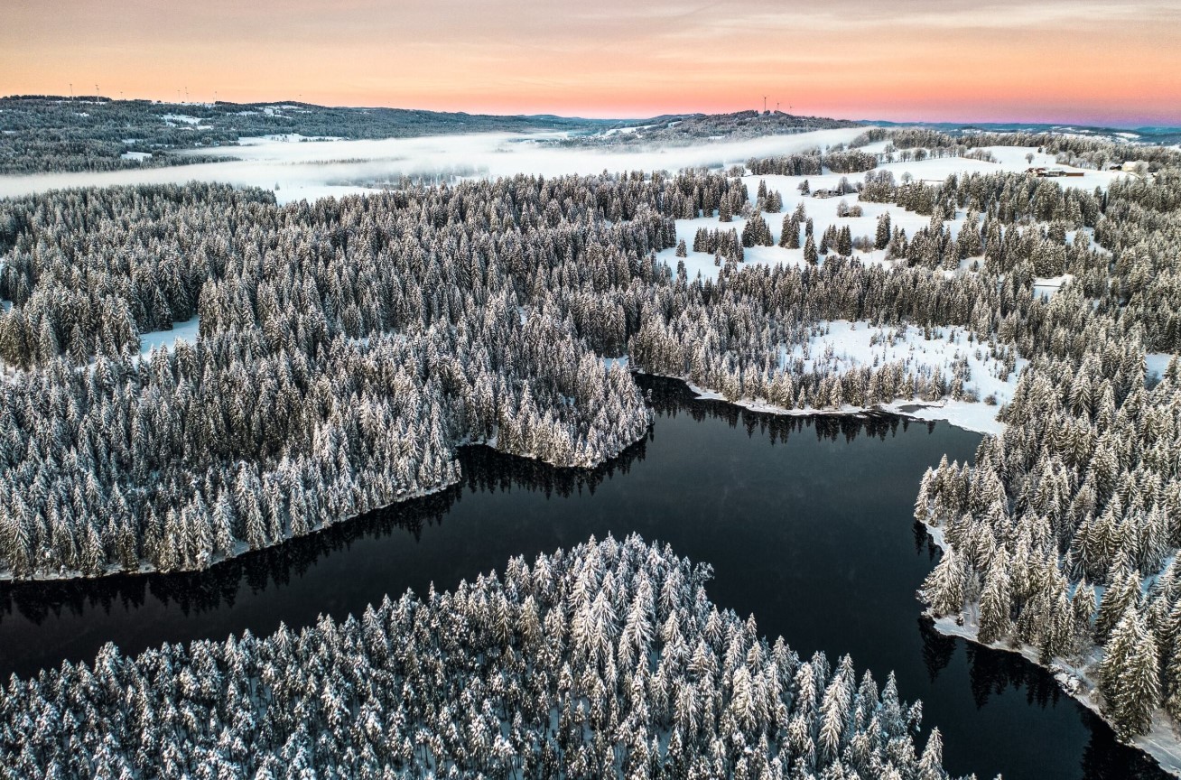Les rives sauvages de l'étang de la Gruère forment le but de cette balade hivernale.