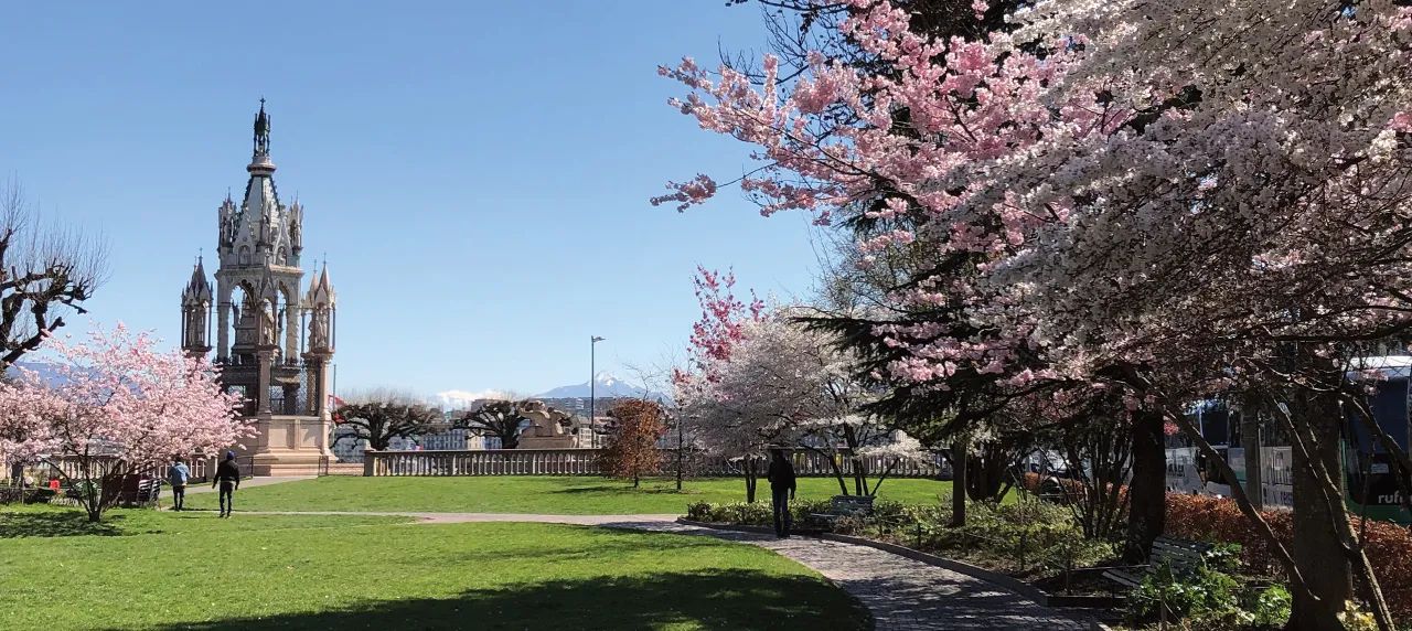 Jardin des alpes avec des cerisiers en fleur, à Genève