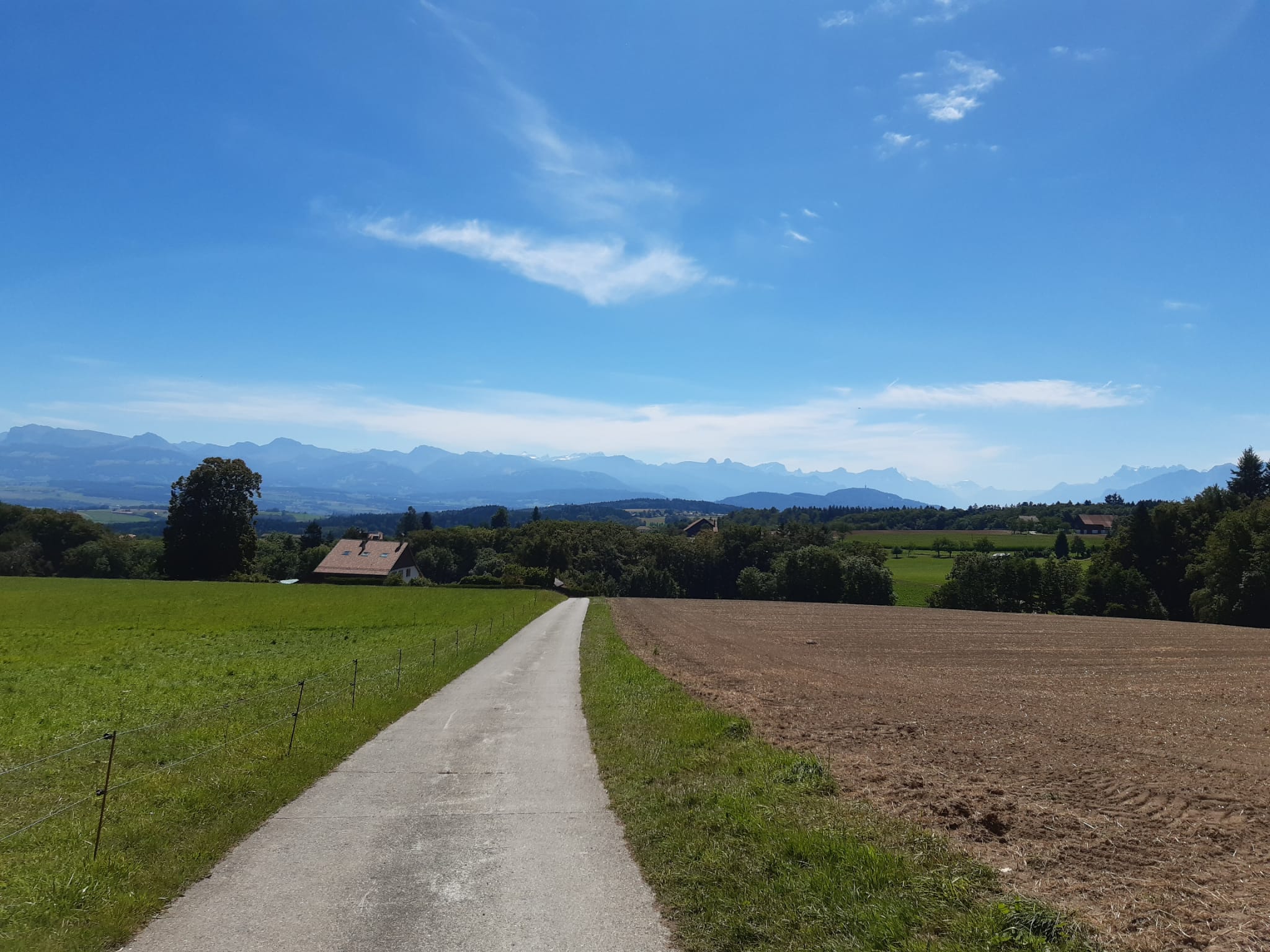 Dans la douceur des bois du Jorat en gravel, au départ de Lausanne