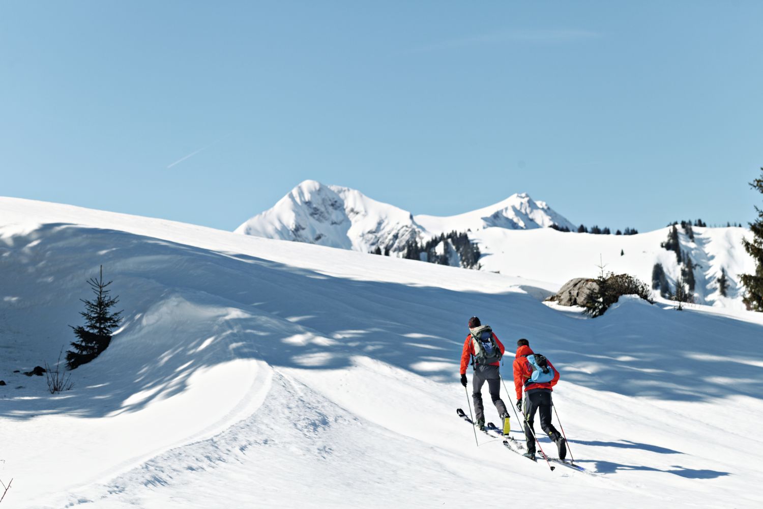 La Gruyère