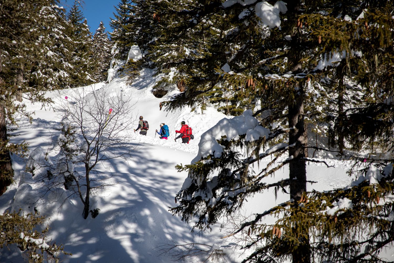Gryon Ski de randonnée