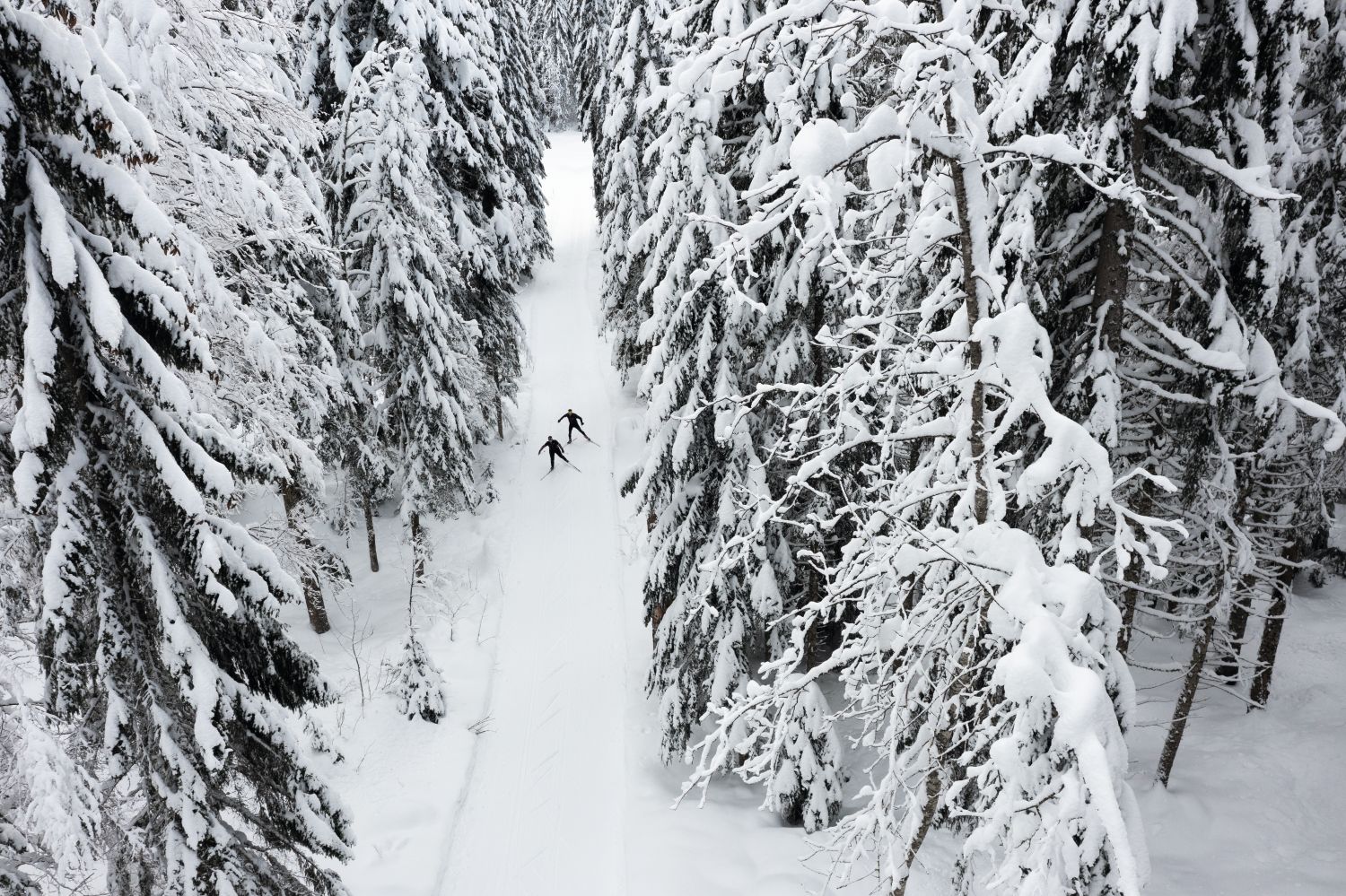 Vallée de Joux