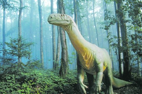 Où voir des dinosaures en Suisse ?