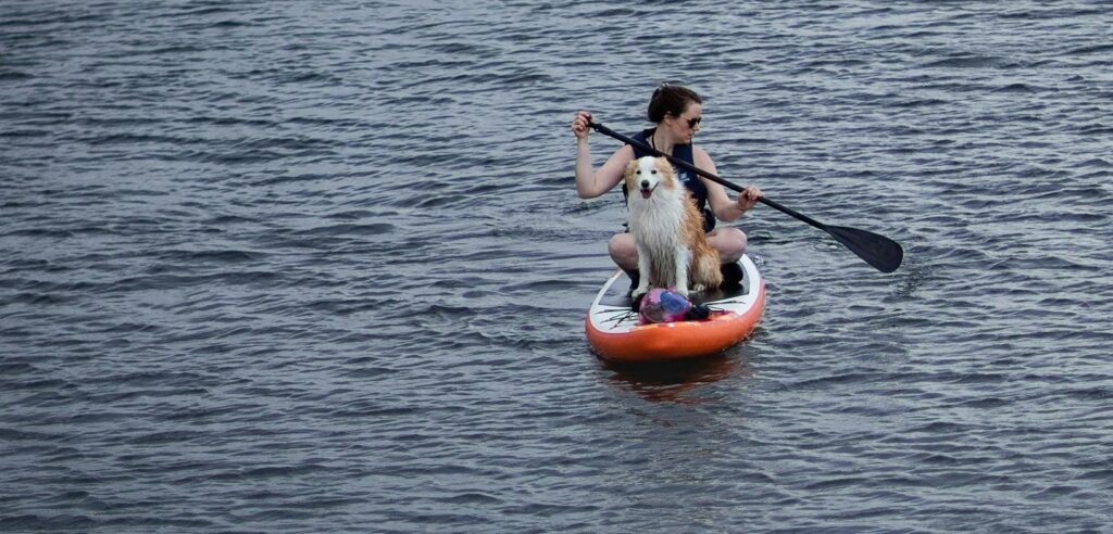 Le top 10 des activités à faire avec son chien en Suisse