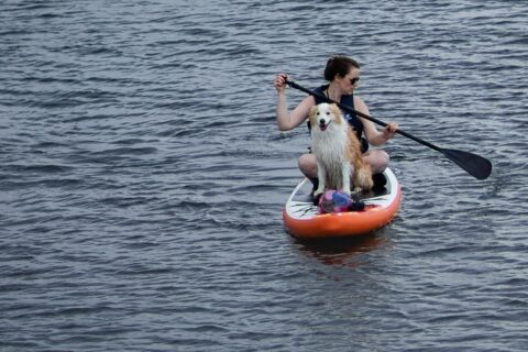 Le top 10 des activités à faire avec son chien en Suisse
