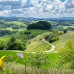 Emmental