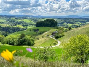 Emmental