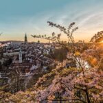 Berne