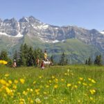Bas-Valais