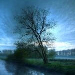 Bienne Seeland