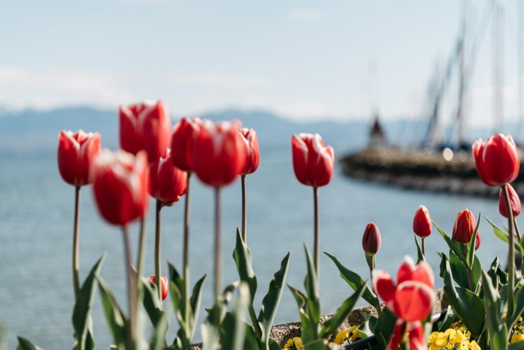Fêtes des fleurs en Suisse romande
