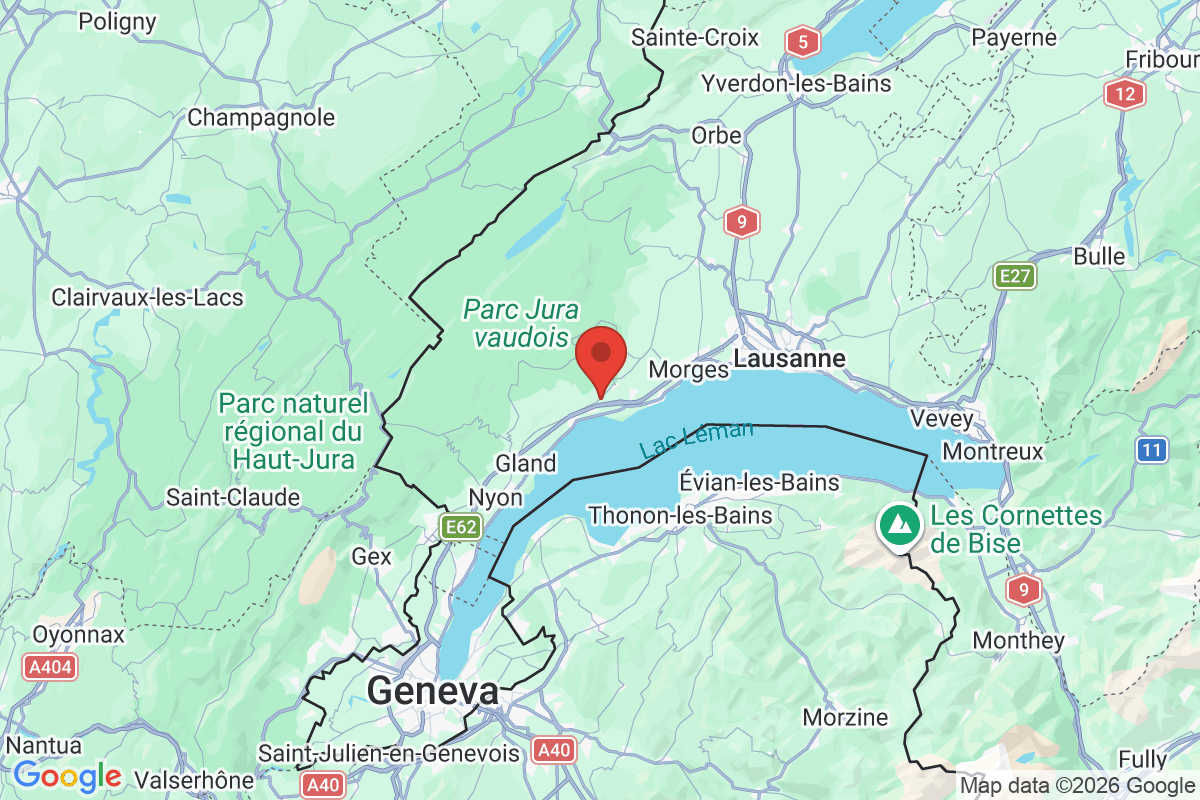 Carte de l'activité