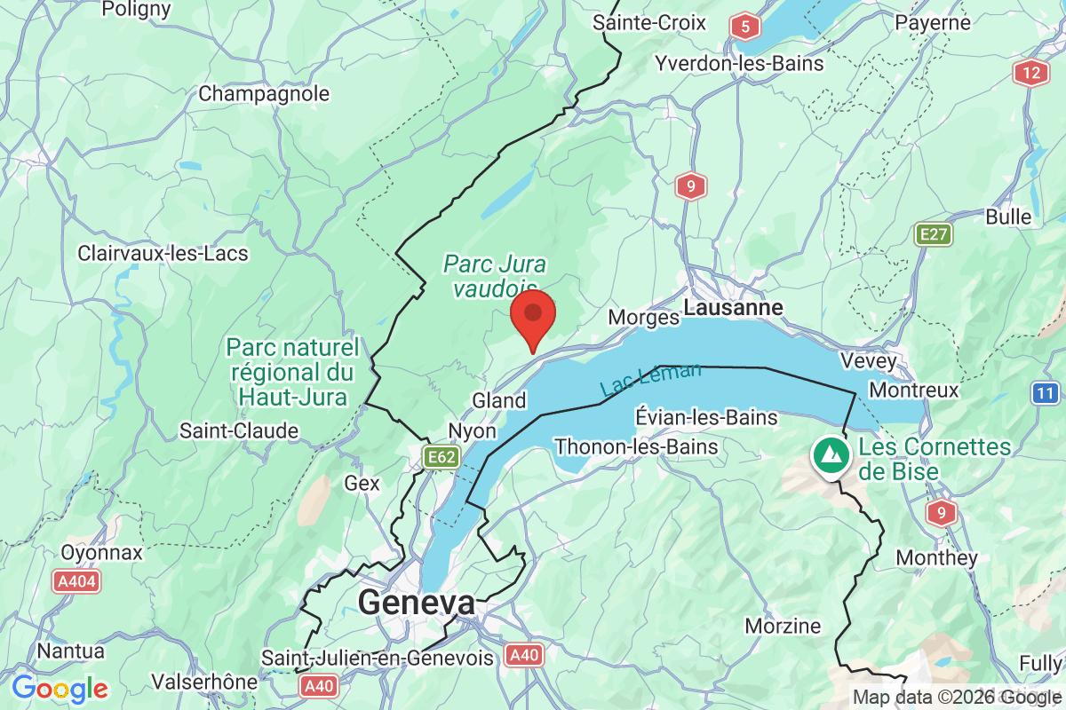 Carte de l'activité