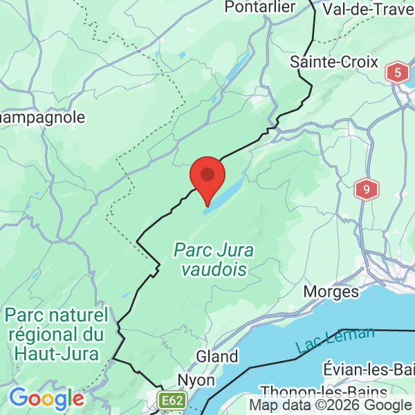 Carte de l'activité