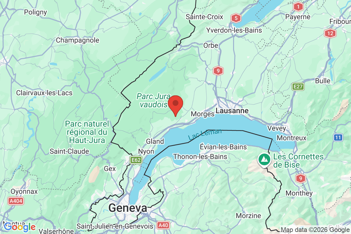 Carte de l'activité