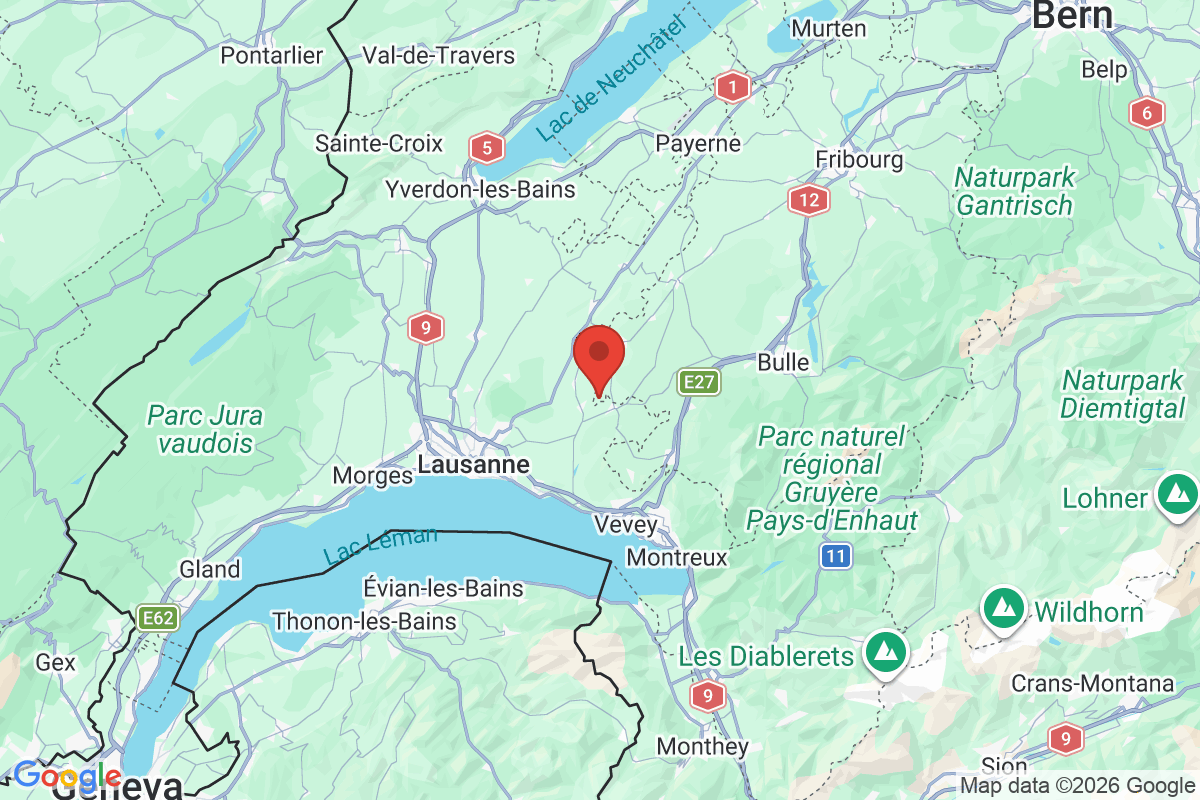 Carte de l'activité
