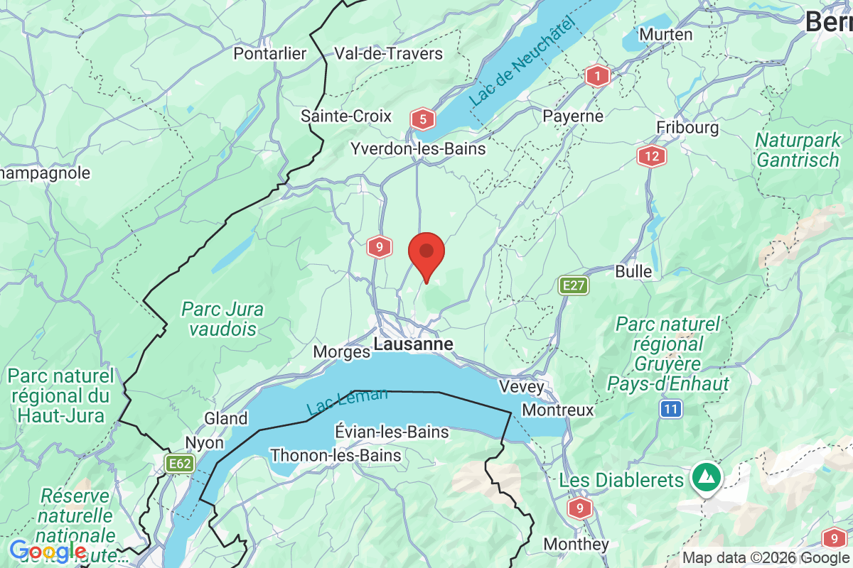Prévisualisation de la carte