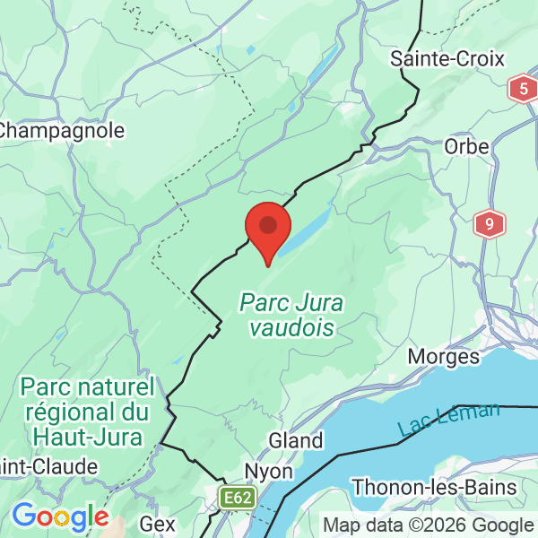 Carte de l'activité
