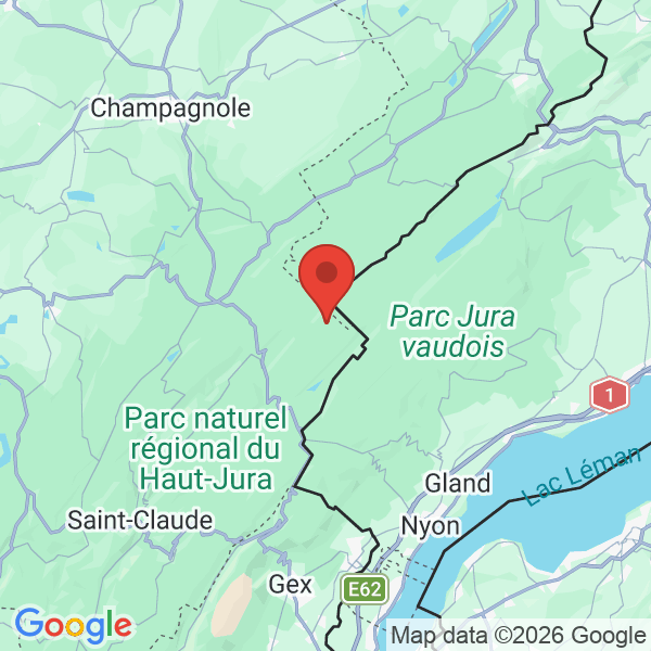 Carte de l'activité