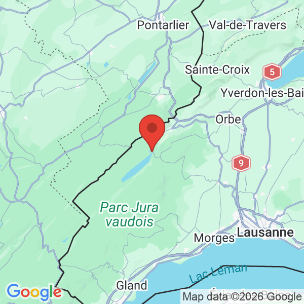 Carte de l'activité