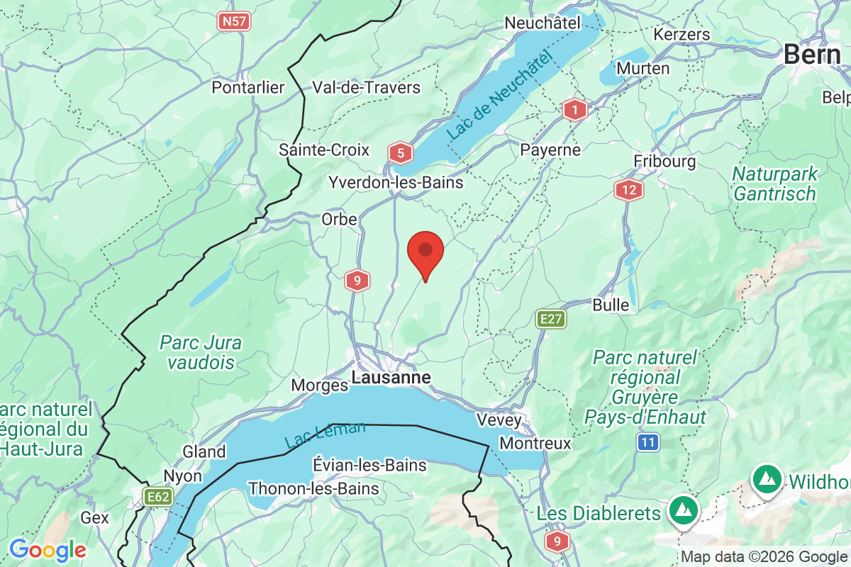 Carte de l'activité