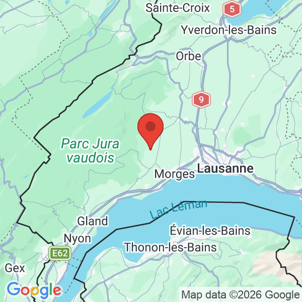 Carte de l'activité