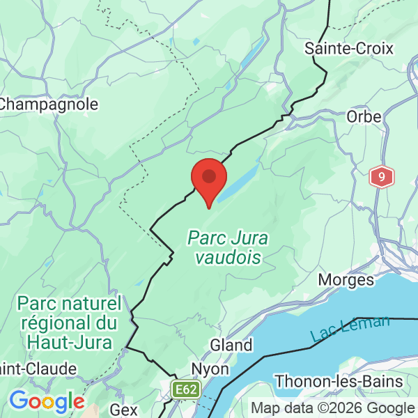 Carte de l'activité