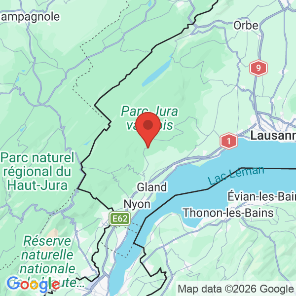 Carte de l'activité