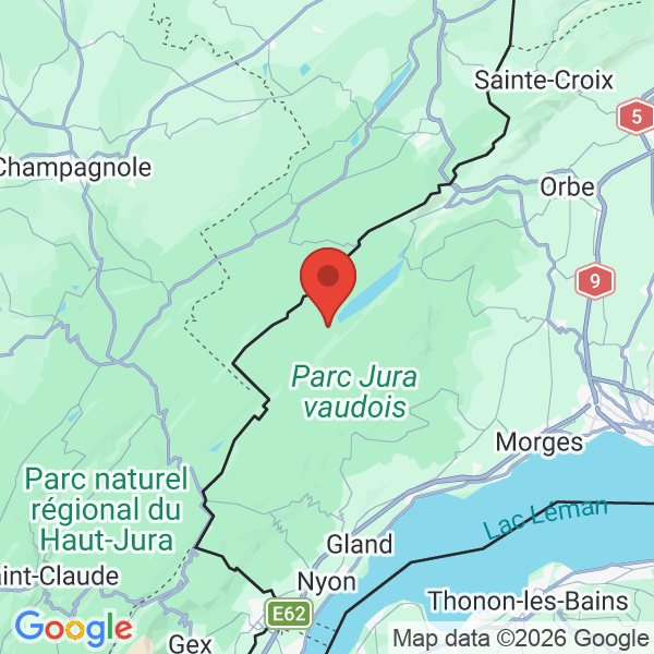 Carte de l'activité