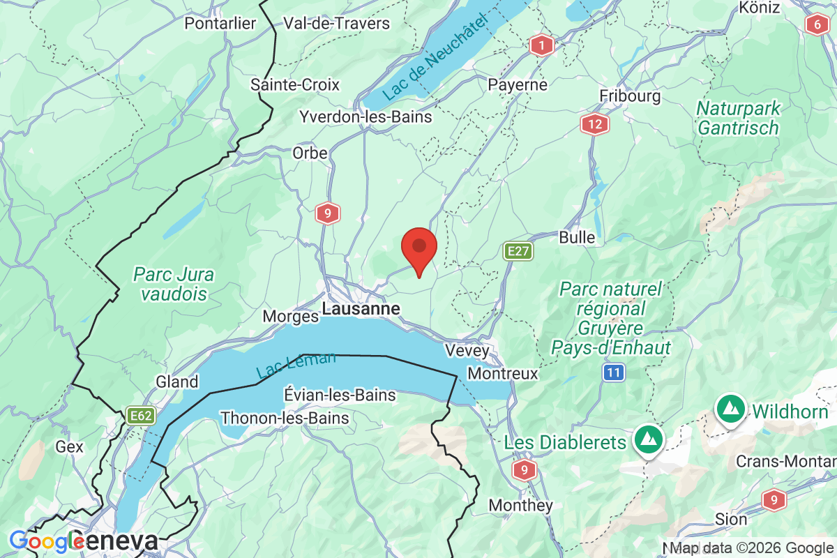 Carte de l'activité