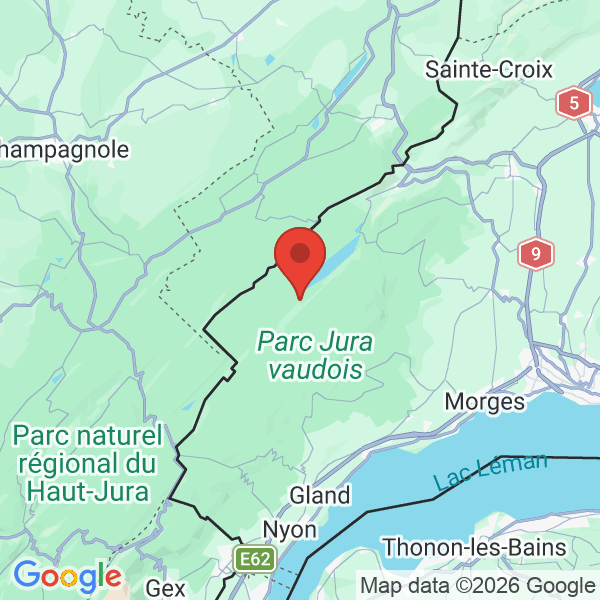 Carte de l'activité