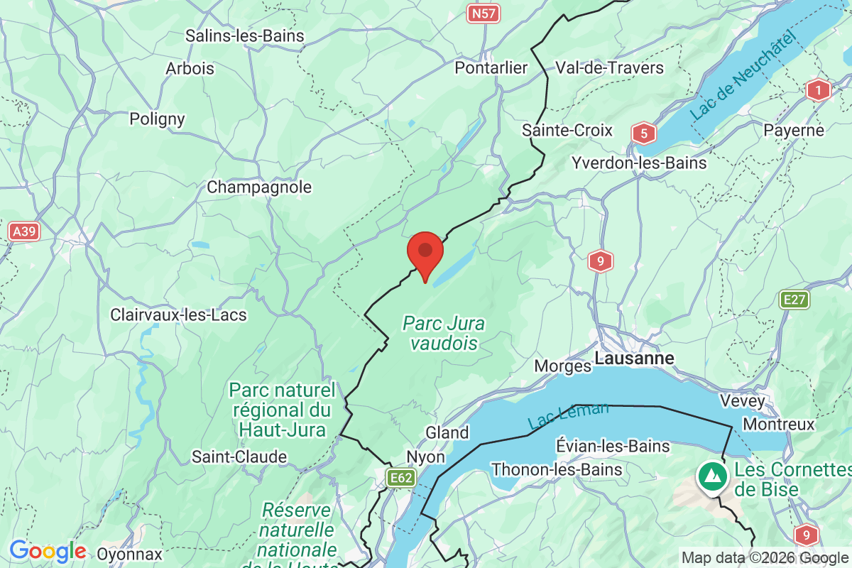 Carte de l'activité