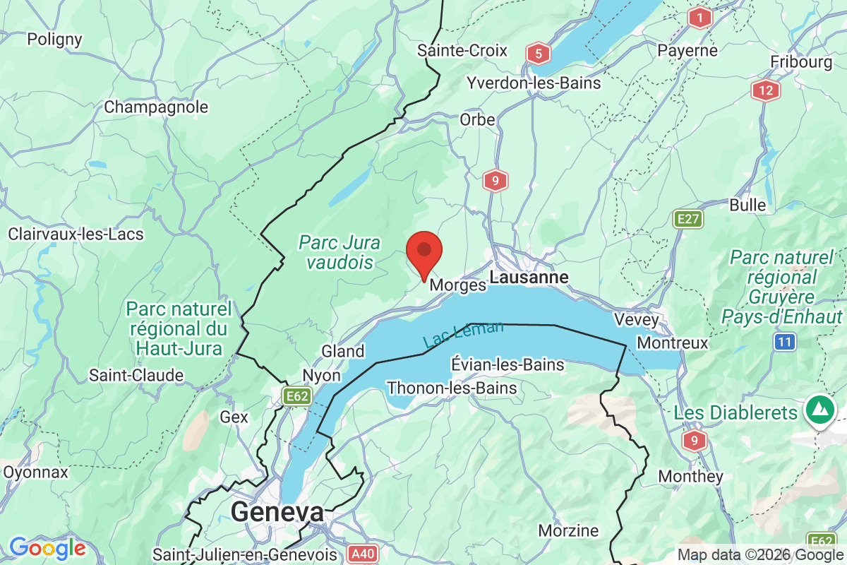 Carte de l'activité