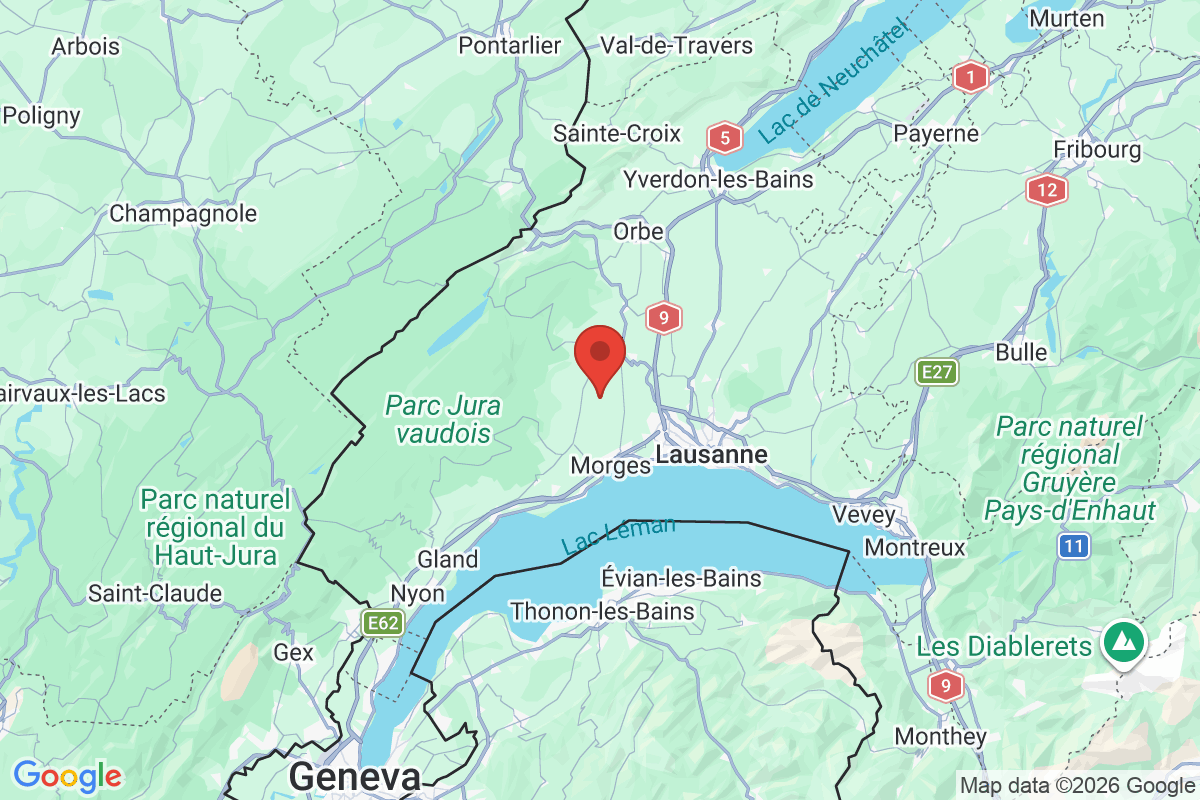 Carte de l'activité
