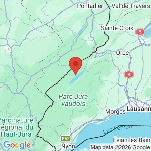 Carte de l'activité