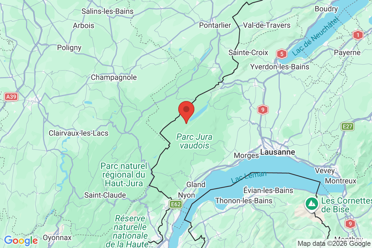 Prévisualisation de la carte