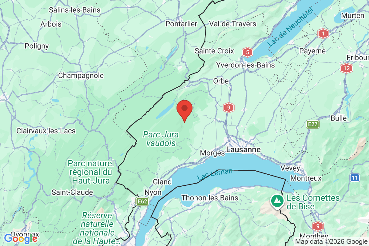 Carte de l'activité