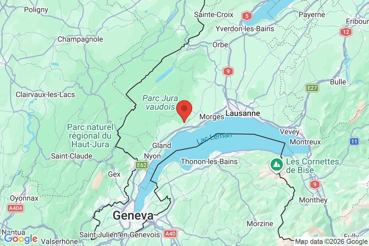 Carte de l'activité