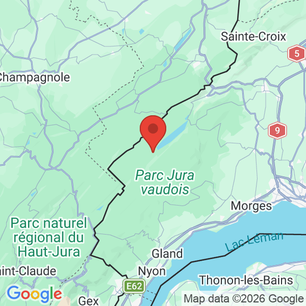 Carte de l'activité