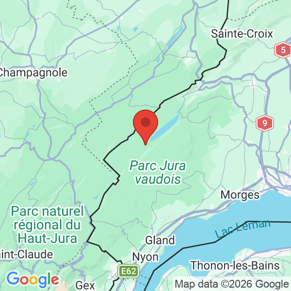 Carte de l'activité