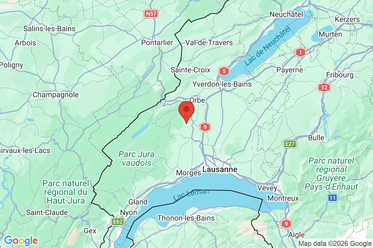 Carte de l'activité