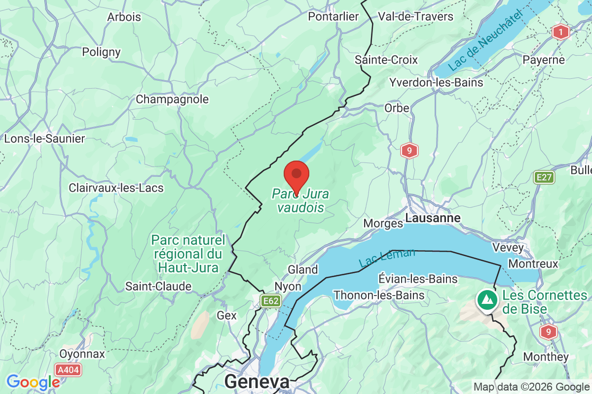 Carte de l'activité