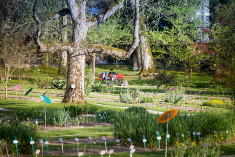 Jardins botaniques aux mille essences  