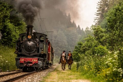 Top 18 des loisirs les plus insolites de Suisse romande