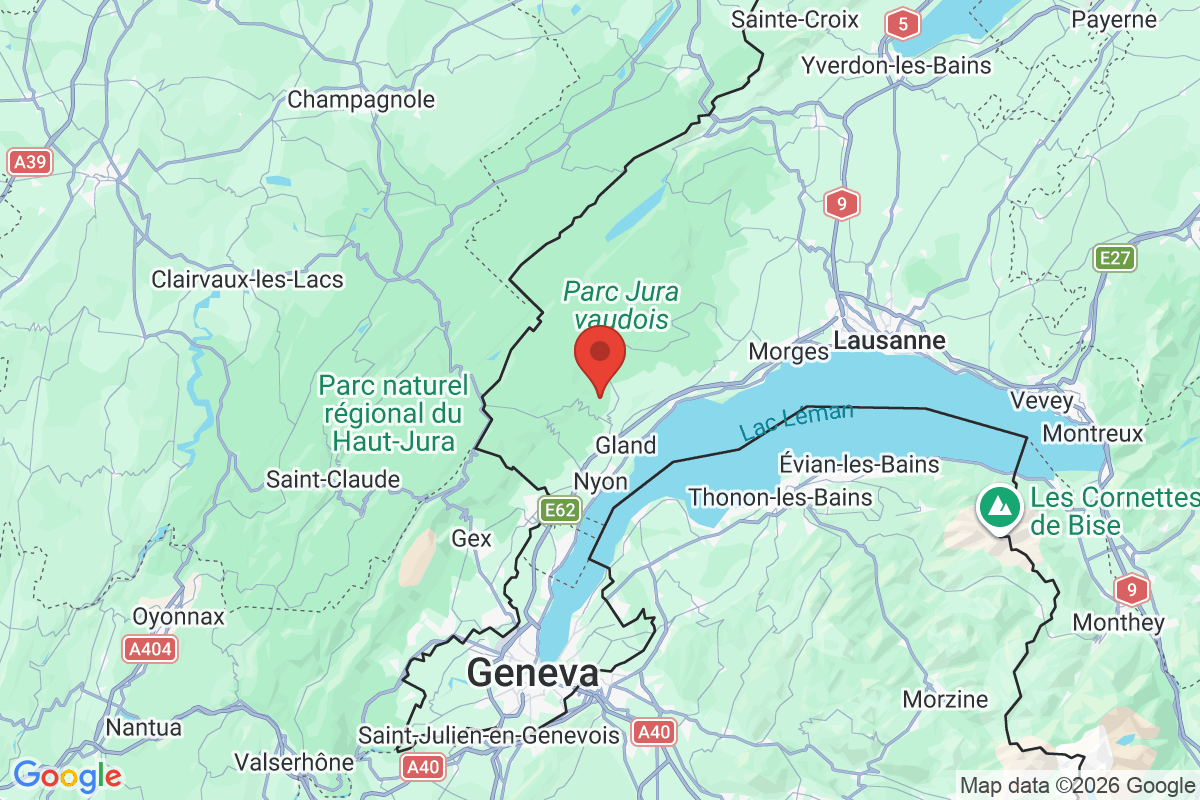 Prévisualisation de la carte