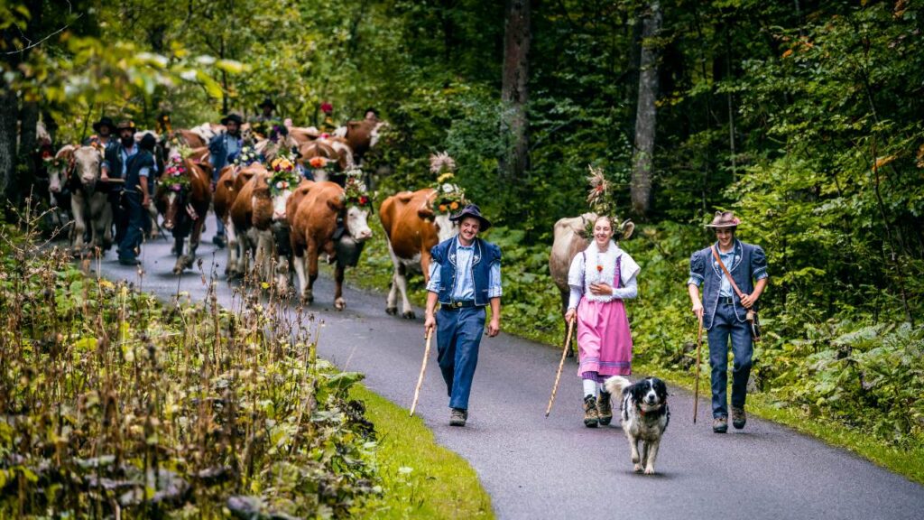 Le top 15 des désalpes de Suisse romande