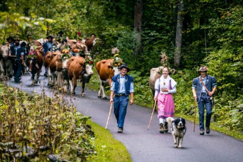 Le top 15 des désalpes de Suisse romande